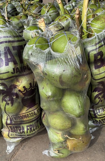 Coconut-Green-65 pc pack